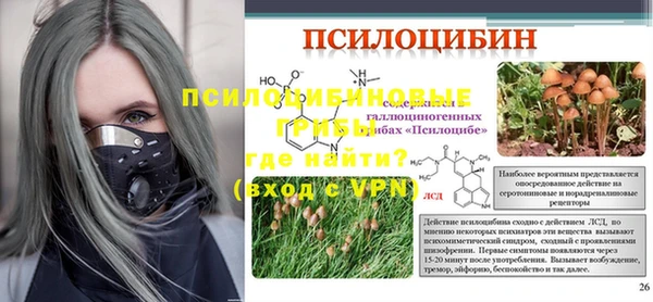 хмурый Балабаново