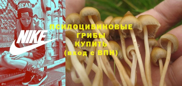 гидра Баксан