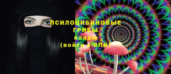 хмурый Балабаново