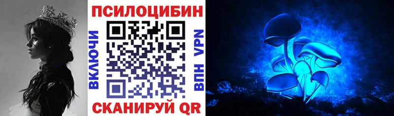 ссылка на мегу как войти  Вязники  Псилоцибиновые грибы мицелий  цена  