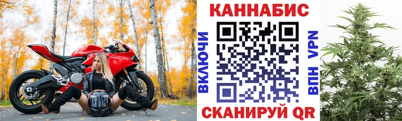 где продают   Вязники  Конопля AK-47 